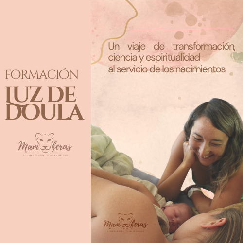 FORMACION LDD 500 X500