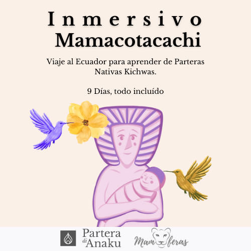 MAMACOTACACHI 500 X 500